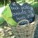 Picnics Picnics