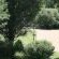 Garden Garden