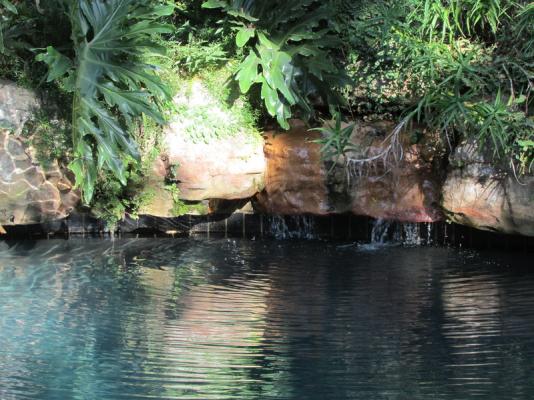 The Rock Pool.