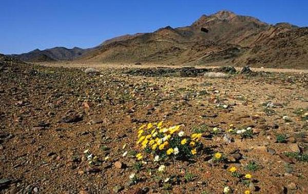 Ai-Ais Richtersveld National Park