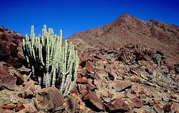 Ai-Ais Richtersveld National Park