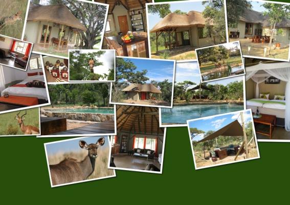 Ama Amanzi Bush Lodge overview