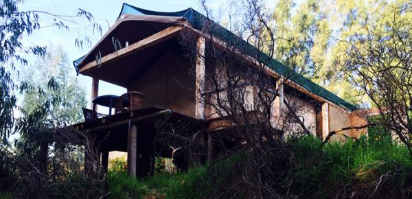 Buffalo Drift - Tented Camp