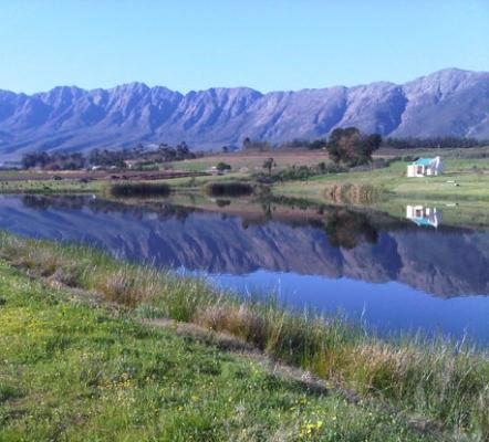 Reflections Guest Farm