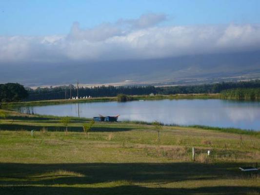 Reflections Guest Farm