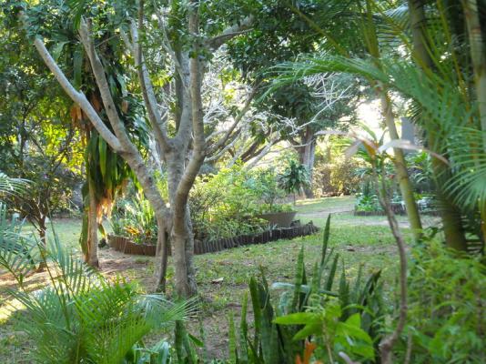 St. Lucia Kingfisher Lodge