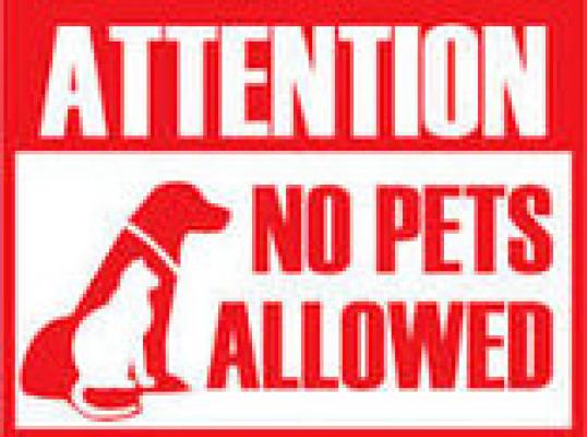 No Pets Allowed