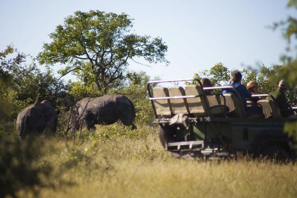 Game drive