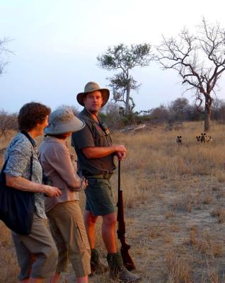 Walking safari