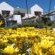 Farr Out Guesthouse **** Farr Out Guesthouse ****