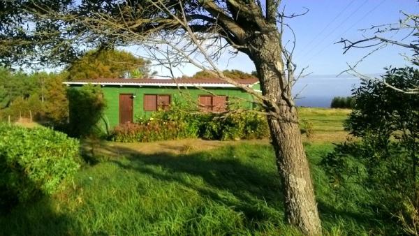 Cottage with ocean view