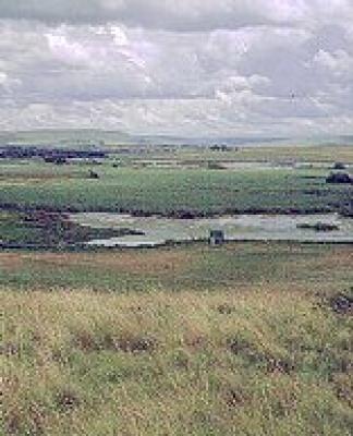 Seekoeivlei Nature Reserve