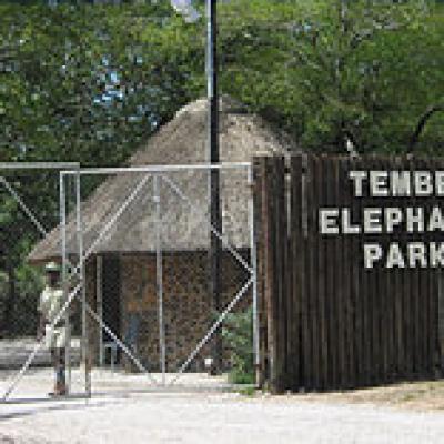 Tembe Elephant Park