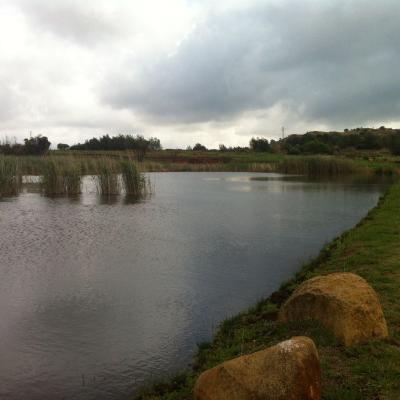 Trout Dam