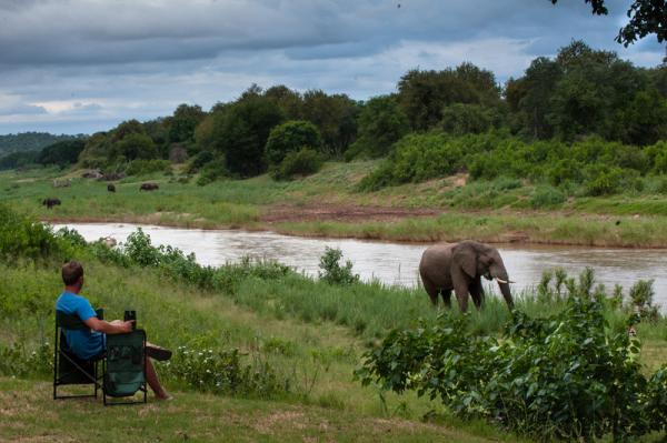 Elephants