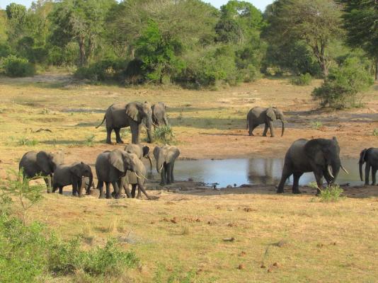 View from the hide onto the waterhole