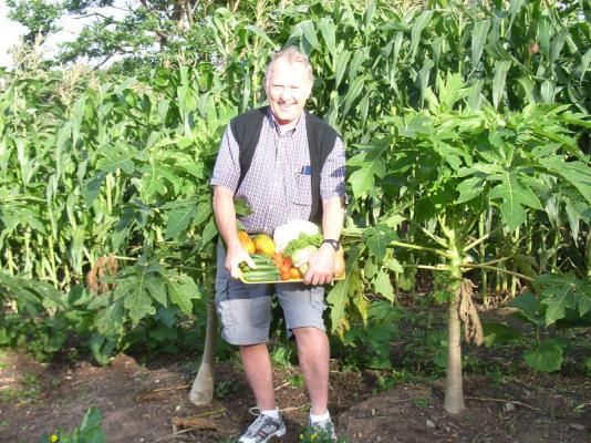 Organic Fruit and veggies!