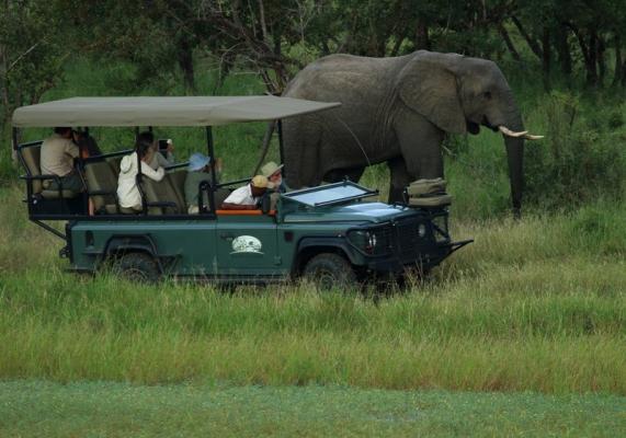 Off Road Game Viewing 