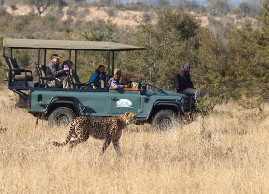 Winter Game Viewing 