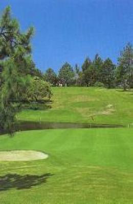 South Coast Golf Courses