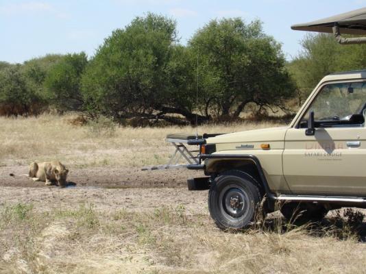 Dinaka Safari Lodge