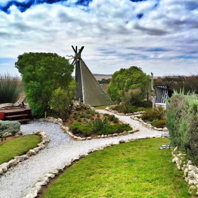 Landscaped garden