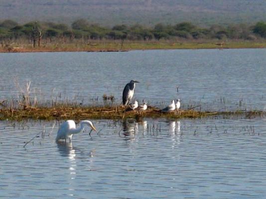 Shayamoya Tiger Fishing and Game Lodge