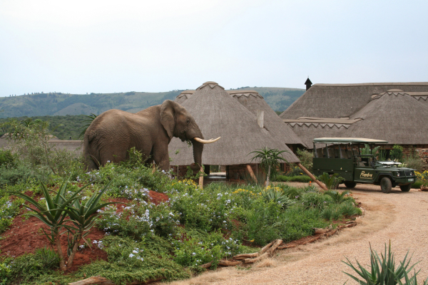 Pumba Private Game Reserve and Spa