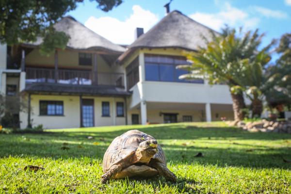 Main House with a visitor in the garden.