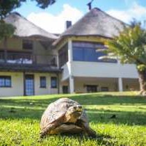 Main House with a visitor in the garden.