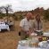 Tuli Safari Lodge Bush Breakfast