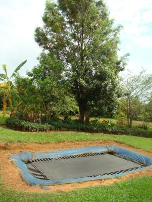 Trampoline