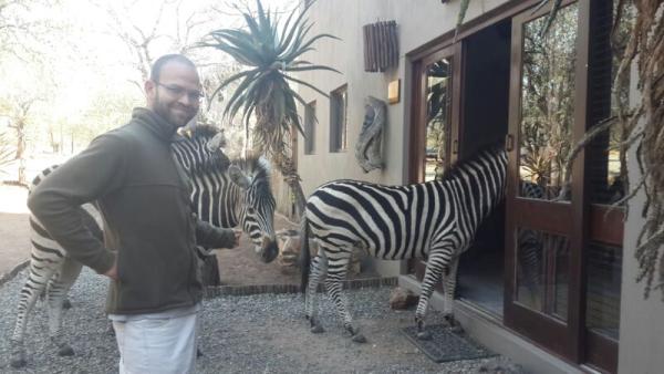 Visiting Zebra's