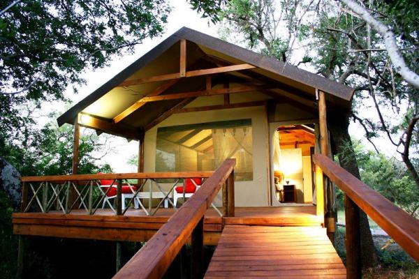 Lion Tree Top Lodge