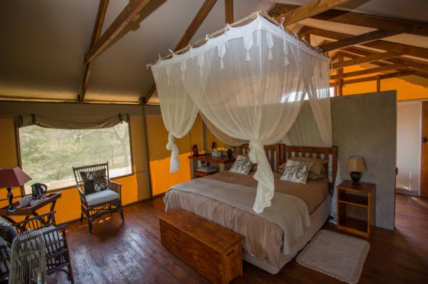 Lion Tree Top Lodge