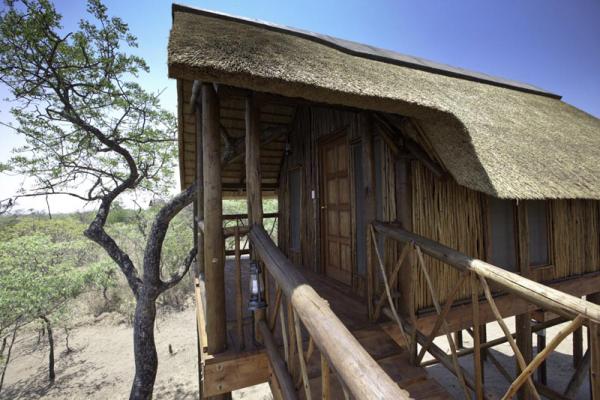 Lion Tree Top Lodge