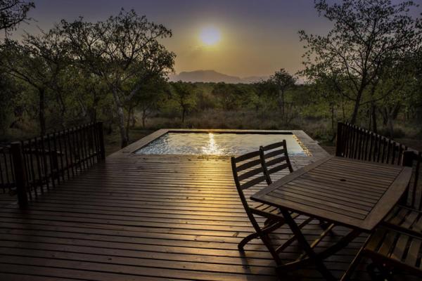 Lion Tree Top Lodge