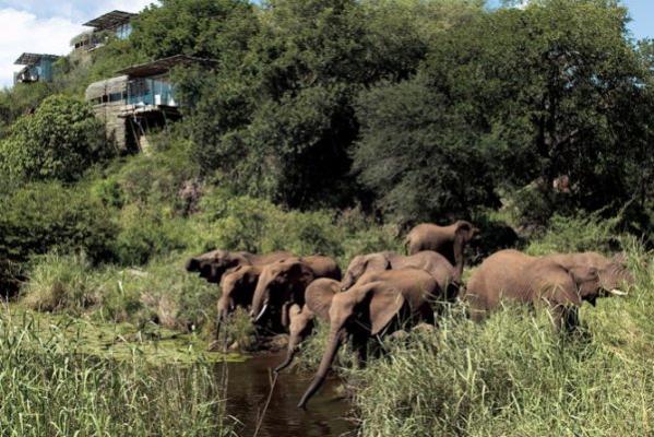 Singita Game Reserves