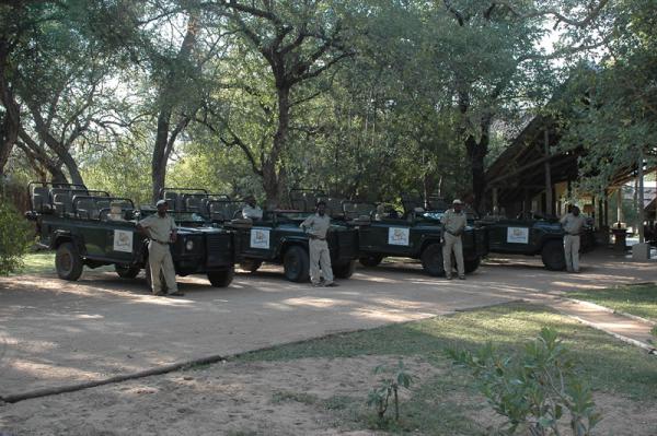 Thornybush Game Lodge