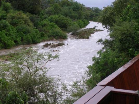 Thornybush Game Lodge