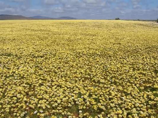 Namaqua National Park