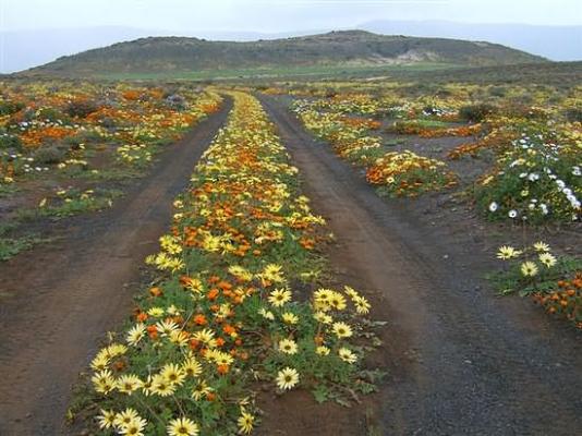 Namaqua National Park