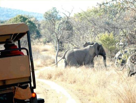 Ekuthuleni Lodge