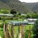 De Oude Meul Country Lodge and Game Farm