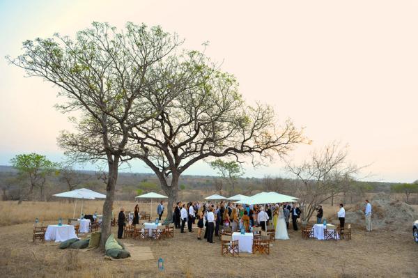 Londolozi Game Reserve