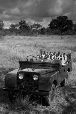 Londolozi Game Reserve