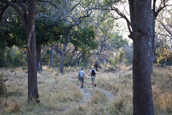 Londolozi Game Reserve