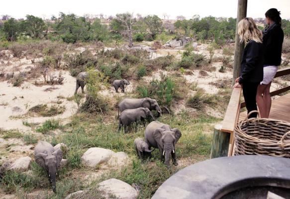 Londolozi Game Reserve