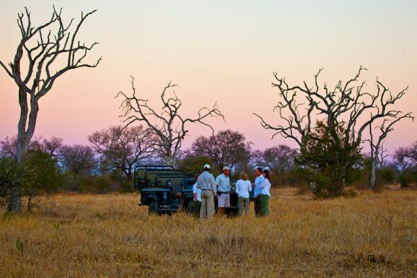 Londolozi Game Reserve