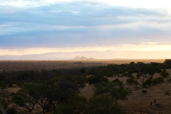 Londolozi Game Reserve